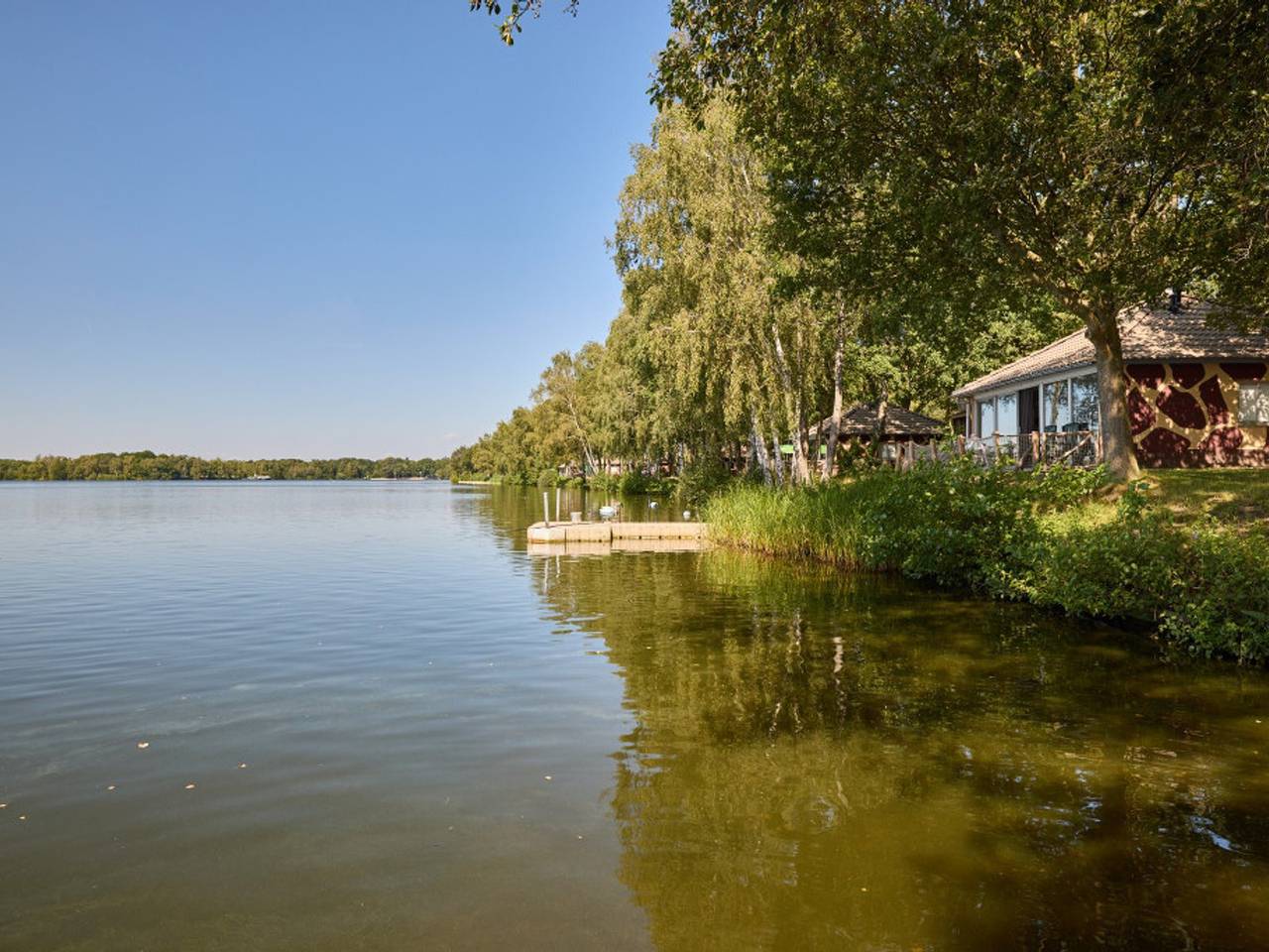 Lake Resort Beekse Bergen — Kidsjungalow in Hilvarenbeek, Noord-Brabant