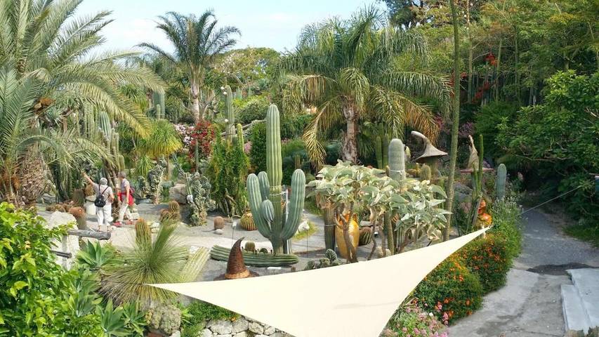 Location de vacances pour 2 personnes, avec piscine ainsi que vue et jardin, animaux acceptés dans Ischia - 2