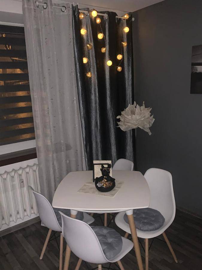 Cały apartament, Apartament Gospodarcza in Sosnowiec, Śląsk
