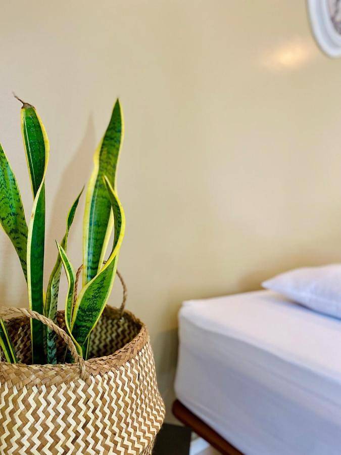 Villa pour 8 personnes, avec vue et jardin dans Tahiti - 4