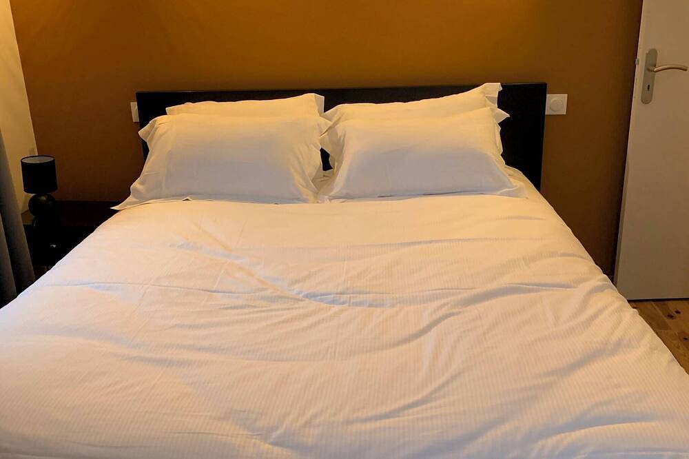 Entire apartment, Apartment 4 persons air-conditioned 1 bedroom + sofa bed Puy de Jumes A03 in Châtel-Guyon, Volcans d'Auvergne Regional Nature Park