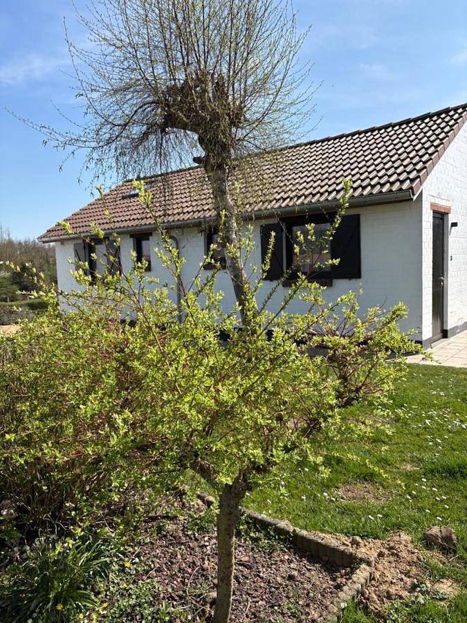 Location de vacances pour 6 personnes, avec jardin et vue, animaux acceptés dans Westouter - 4