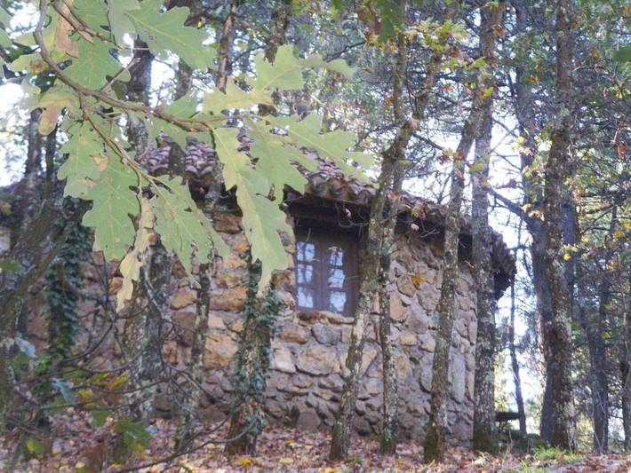 Maison de campagne pour 4 personnes, avec jardin et sauna ainsi que piscine et vue, animaux acceptés à Arenas de San Pedro - 2