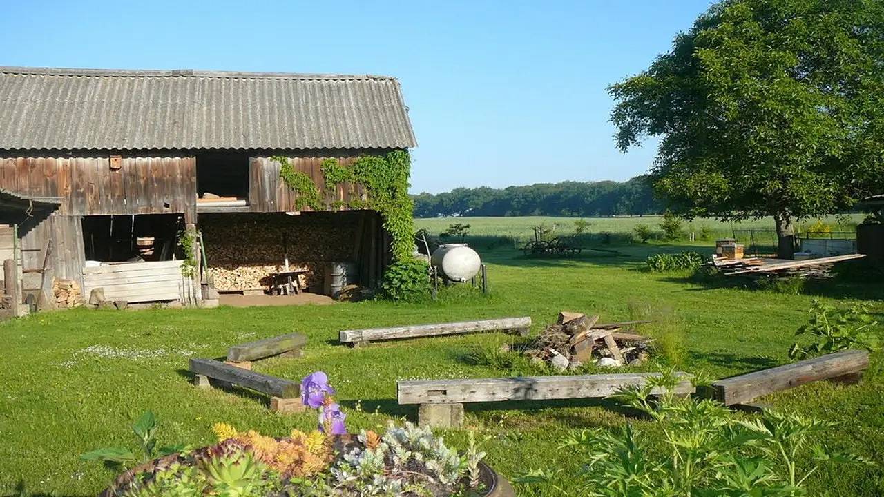 Ferienhaus für 4 Personen (65 m²) in Torgelow Am See in Torgelow am See, Müritz
