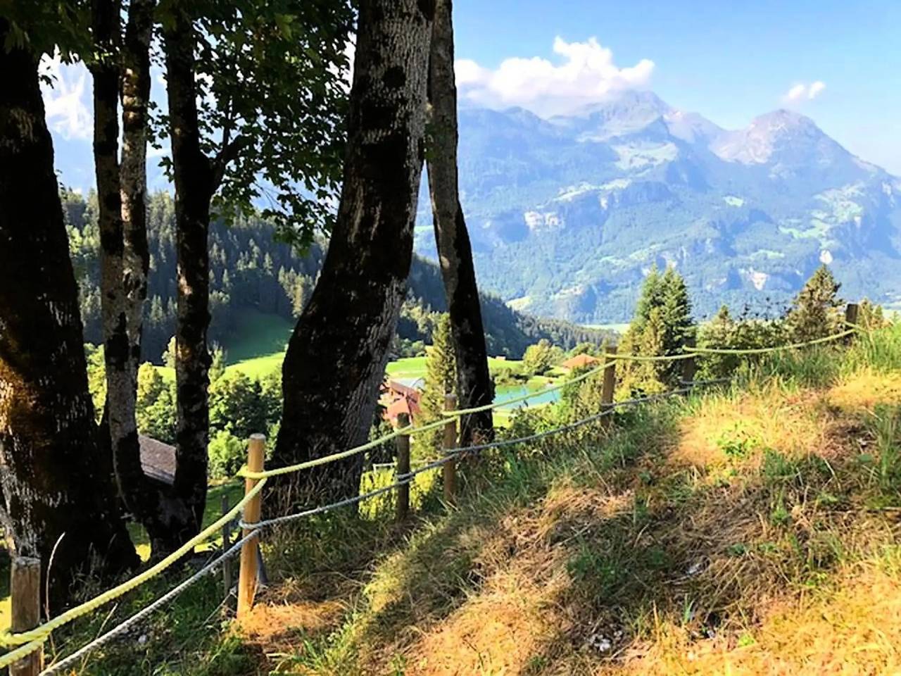 Ganze Wohnung, 5 Pièces 6 Personnes in Hasliberg, Verwaltungskreis Interlaken-Oberhasli