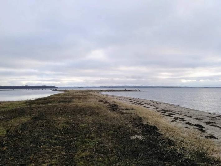 Ferienhaus für 4 Personen, mit Terrasse, kinderfreundlich in Djursland - 4