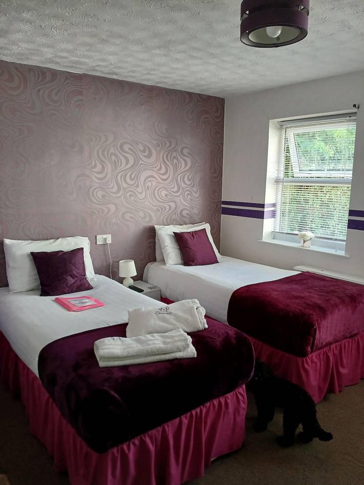 Alojamiento y desayuno para 6 personas en Inglaterra