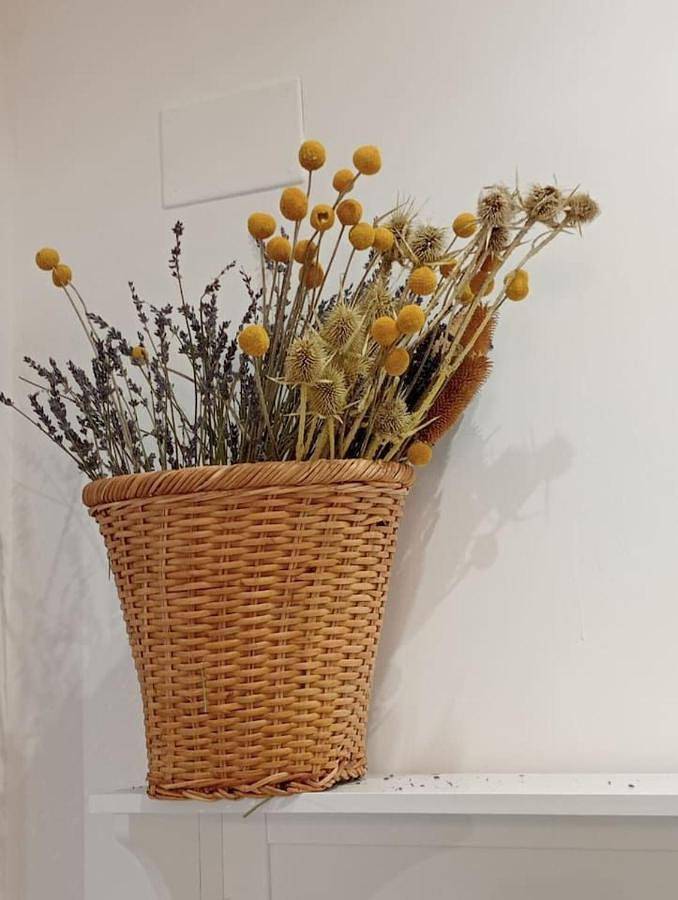 Gîte pour 5 personnes, avec vue dans Basilique Saint-Pierre - 3