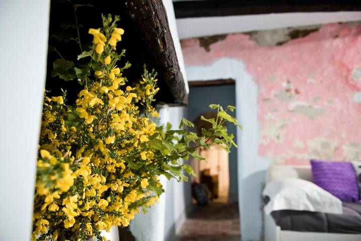 Gîte pour 3 personnes, avec vue et balcon à Vignanello - 4