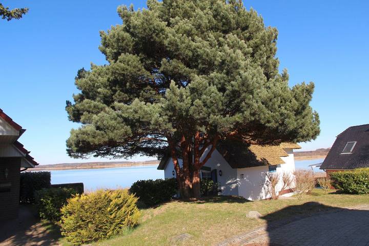 Ferienhaus für 4 Personen, mit Ausblick und Seeblick sowie Garten in Mecklenburgische Seenplatte - 2