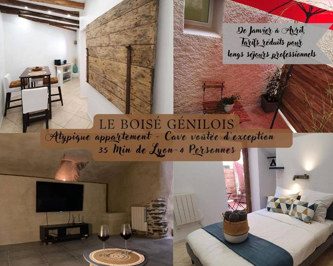 Appartement entier, One-Bedroom Apartment in Genilac, Loire