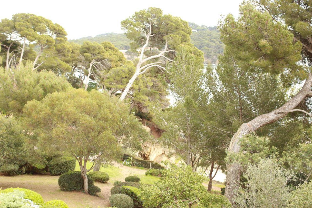 Résidence hôtelière Le Provençal à Giens - Bord de mer in La Madrague, Hyeres