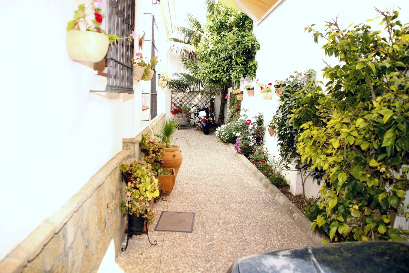 Ganze Ferienwohnung, 300 Meter bis zum Strand - Caracola Wohnung mit Garten in Chipiona, Costa de la Luz