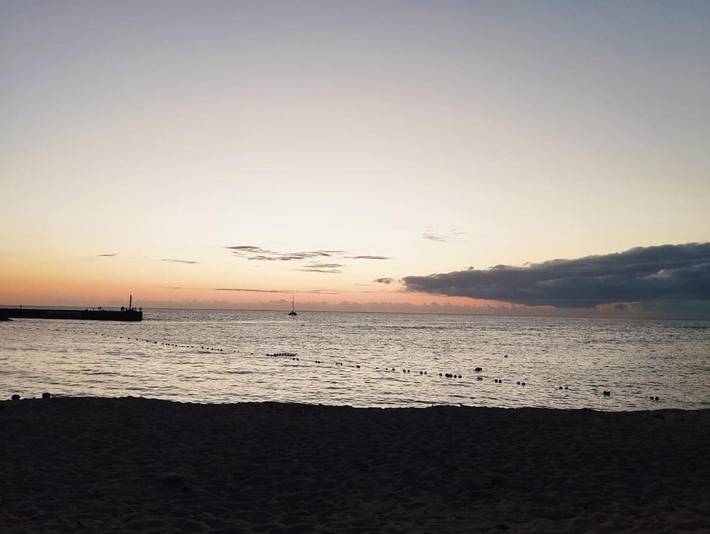Gîte pour 2 personnes, avec jardin et vue, animaux acceptés dans Corail Safari Saint Gilles Les Bains - 4