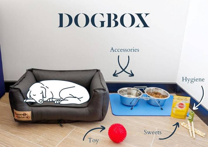 Hôtel pour 4 personnes, avec terrasse ainsi que sauna et vue à Roissy-en-France - 4