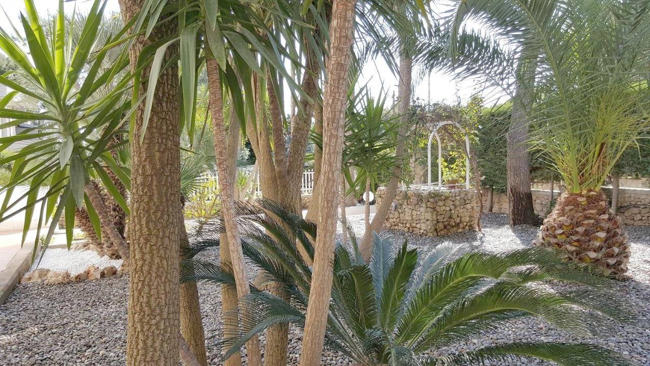 Phalanthos B&B in Lido Gandoli, Leporano