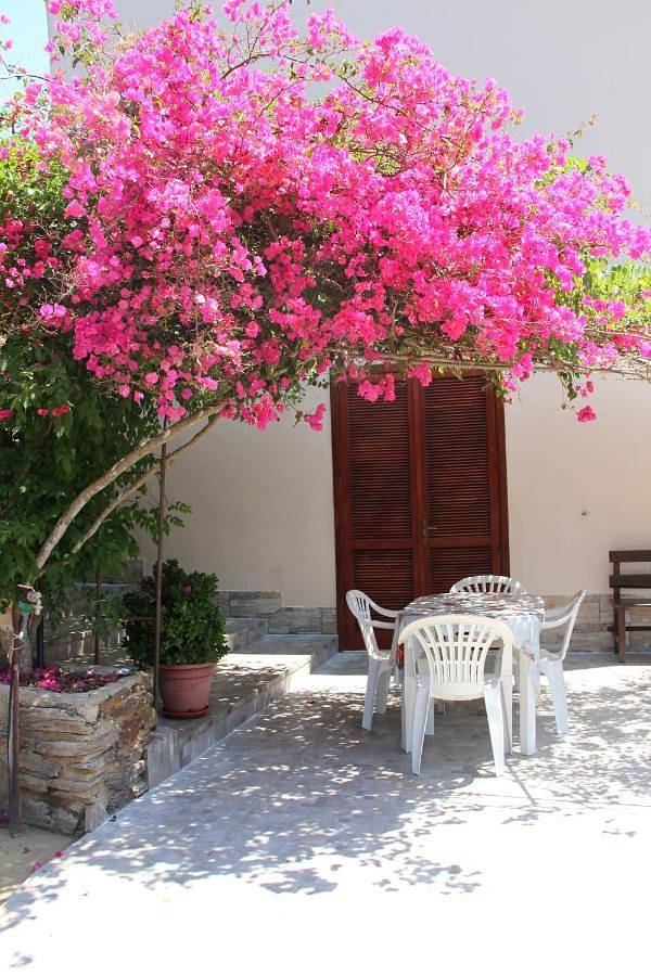 Apartamento de vacaciones para 4 personas, con terraza y jardín - 1