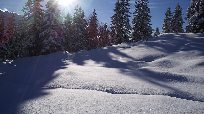 Ferienwohnung für 3 Personen, mit Balkon im Mittenwald - 3