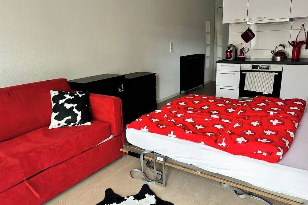 Apartamento entero, Grape Place para 4 personas, con lavadora, en el corazón de Pully. in Pully, Lago Lemán