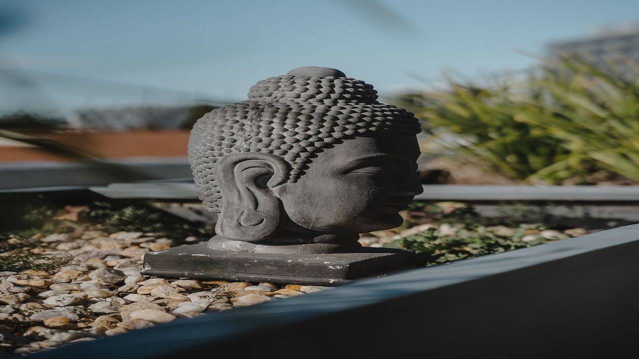 Entire holiday apartment, Ferienwohnung für 2 Personen (65 m²) in Braddon in North Canberra, Canberra