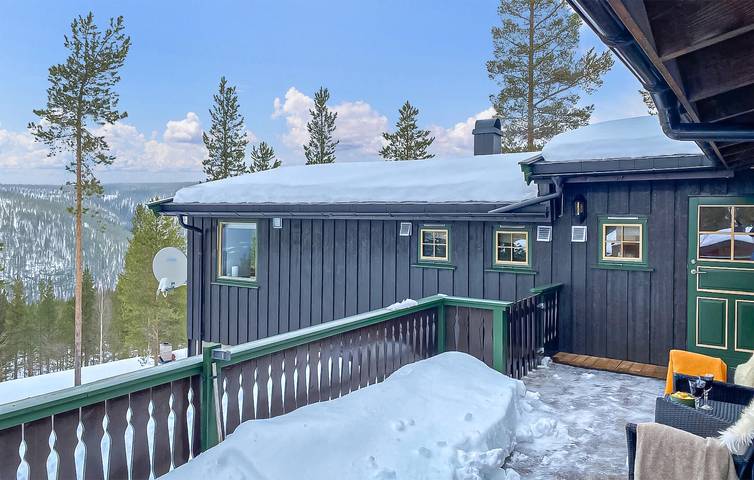 Ferienhaus für 9 Personen mit Garten in Rendalen