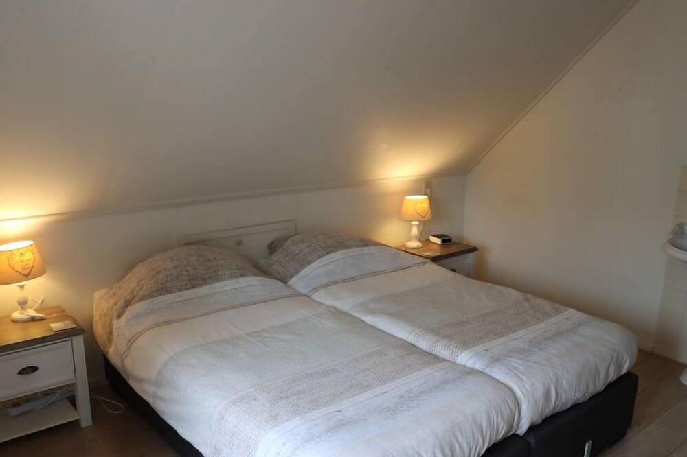 Onder De Eiken in Nationaal Park Dwingelderveld