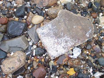 Ferienhaus für 8 Personen in Fur, Limfjord in Westjütland, Bild 4