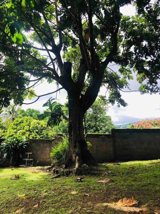 Gîte pour 2 personnes, avec vue ainsi que jardin et terrasse dans La Soufrière - 3