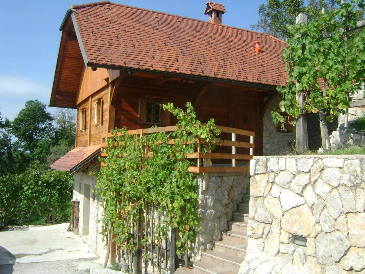 Vineyard cottage Zidanca med vinogradi in Neustadtl, Slowenien