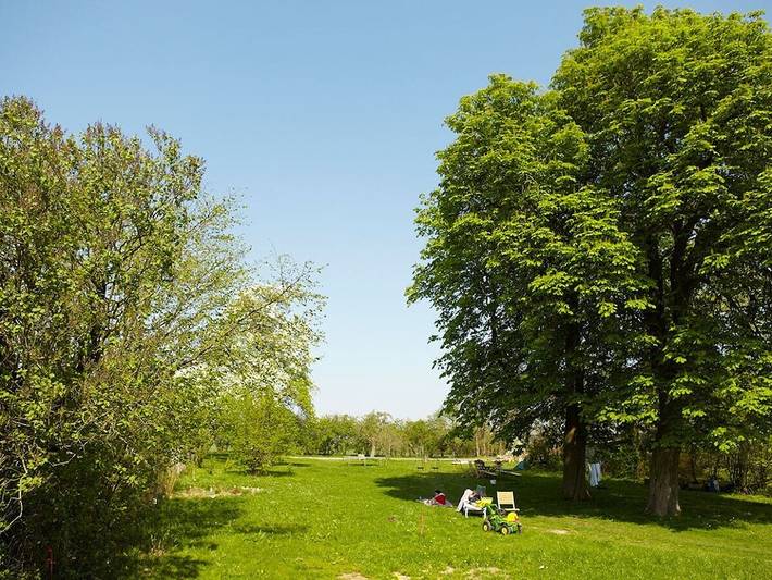 Ferienhaus für 8 Personen, mit Garten in Walow - 2