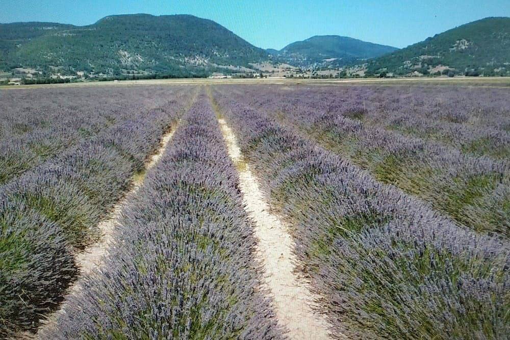 Apartamento entero, Les Pierres Séches Vacation Rental, Les Andrieux 2/3 Banon in Banon, Forcalquier region