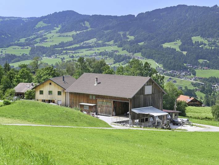 Ferienhaus für 5 Personen, mit Balkon in Bodensee-Vorarlberg - 3