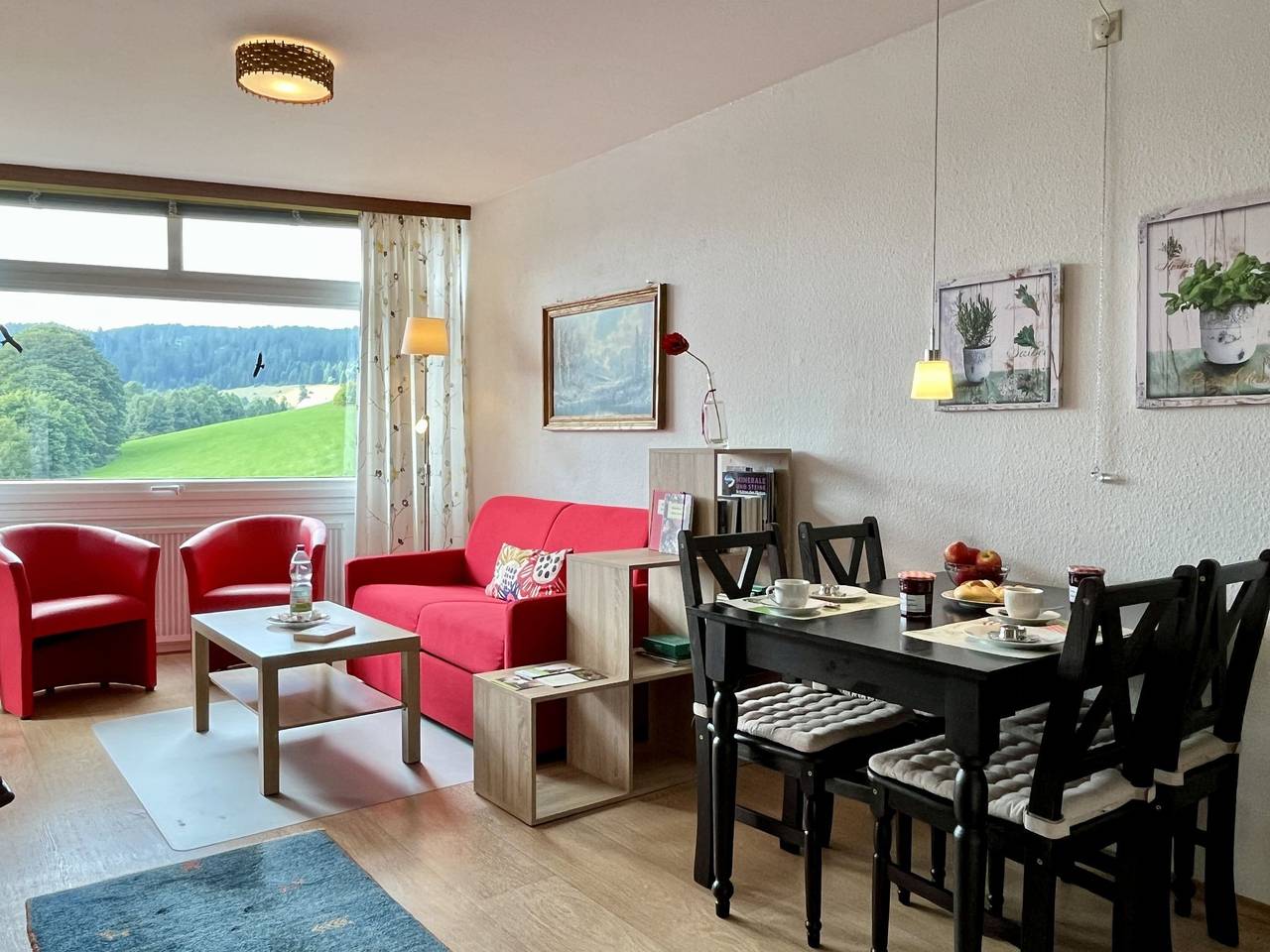 Ganze Wohnung, Schöne Aussicht (App 1406 / Ex-Kurhotel) in Suedlicher Schwarzwald, Schluchsee