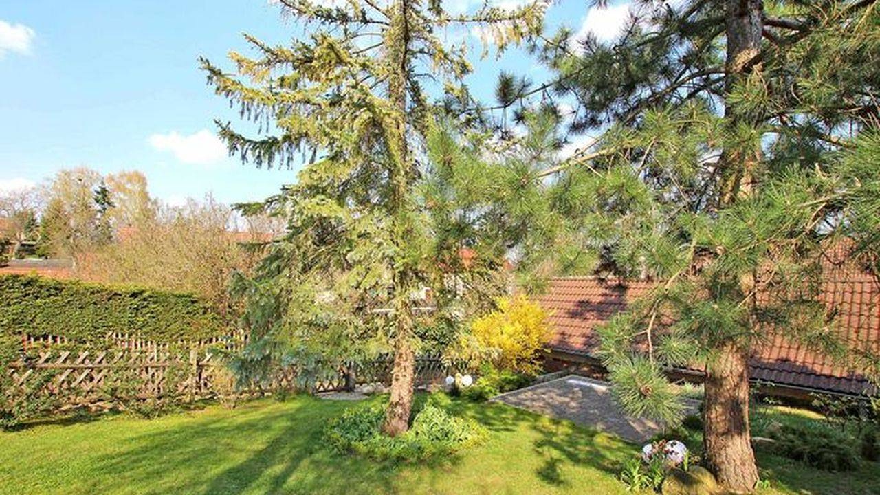 Ganze Ferienwohnung, Ferienwohnung für 3 Personen (70 m²) in Flecken Zechlin in Flecken Zechlin, Rheinsberg