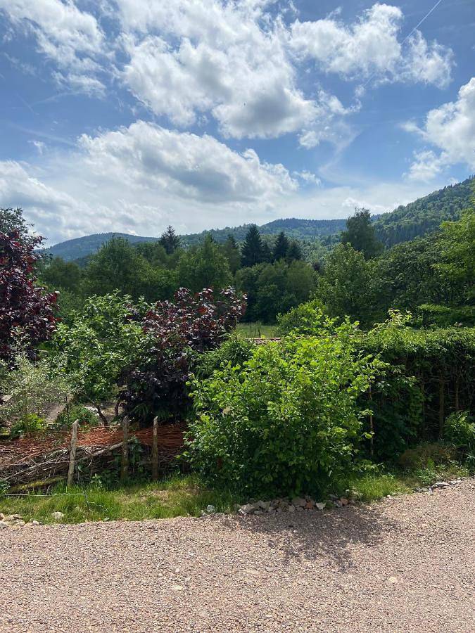 Location de vacances pour 3 personnes, avec terrasse ainsi que jardin et vue à Thiéfosse - 4