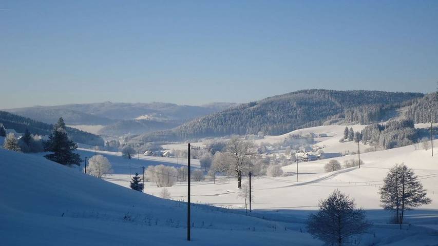 Ferienhaus für 4 Personen, mit Pool und Garten, mit Haustier in Titisee-Neustadt - 4