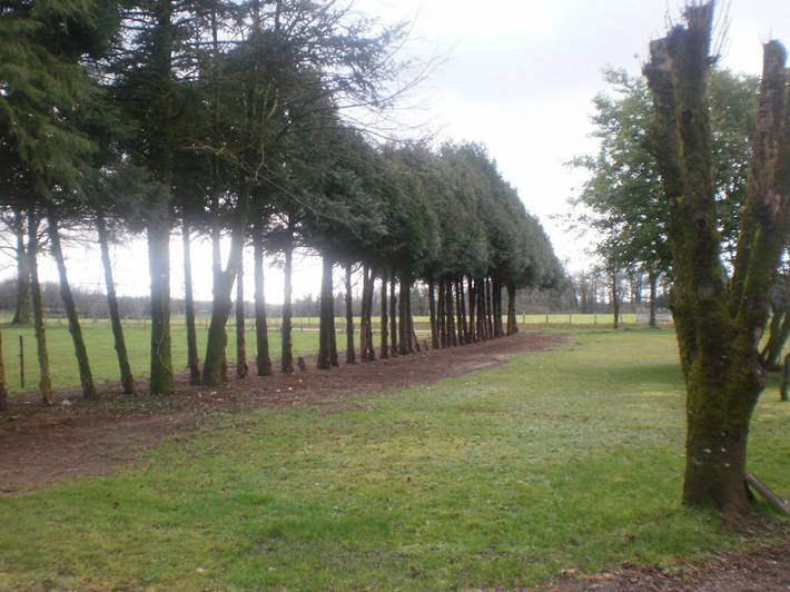 Gîte pour 12 personnes, avec terrasse ainsi que piscine et jardin, animaux acceptés dans Parc naturel régional Périgord-Limousin - 4