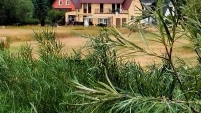 Bungalow für 3 Personen, mit Garten in Trassenheide - 2