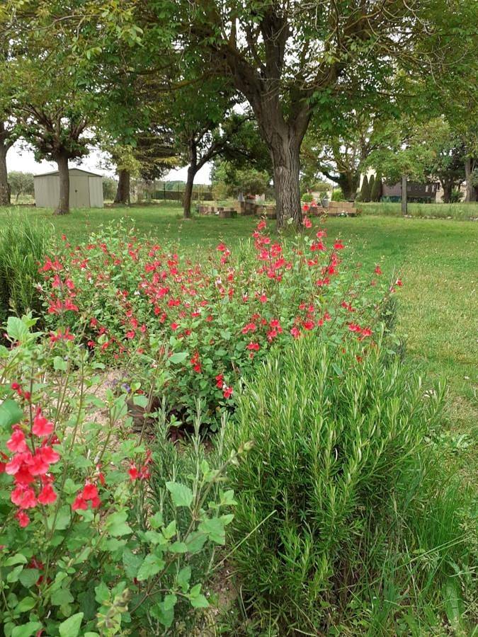 Location de vacances pour 4 personnes, avec jardin ainsi que vue et piscine, adapté aux familles à Saint-Quentin-la-Poterie - 2
