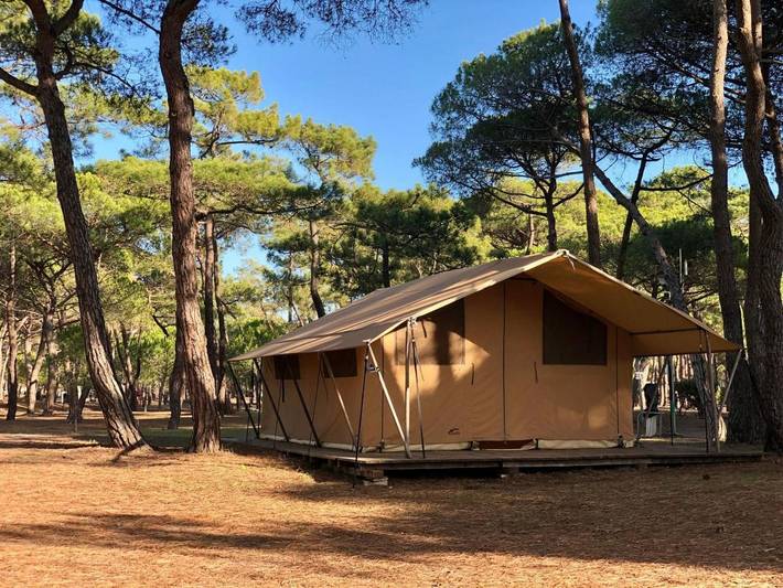 Location de vacances pour 5 personnes, avec jardin et piscine, animaux acceptés dans la Tamarissière - 2