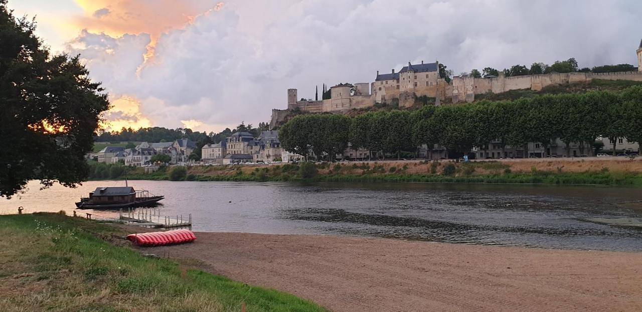 Gîte la comète in Chinon, Loire-Tal