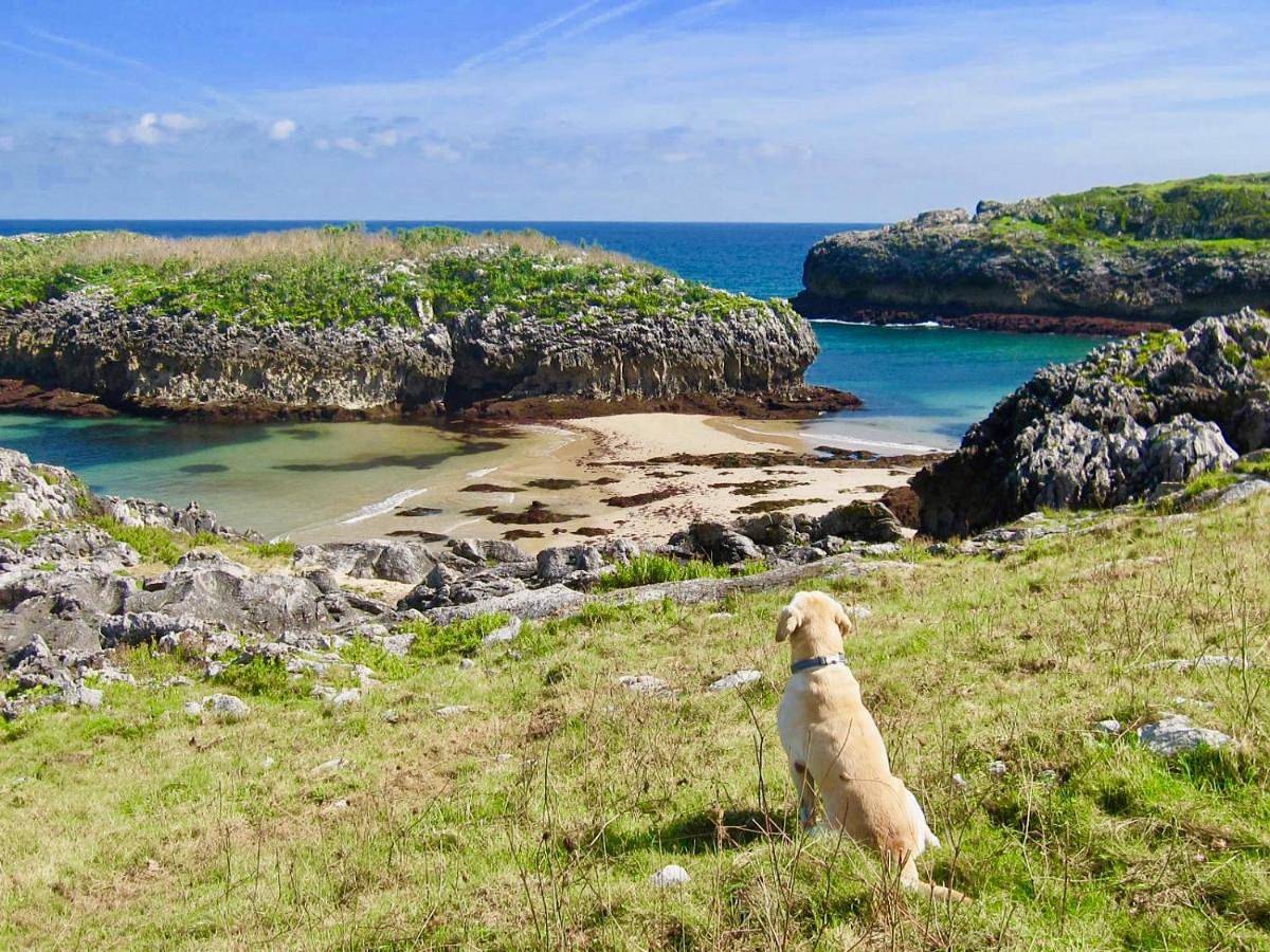 Apartamento entero, Apartamentos Rurales El Llagar de Cue in Cué, Llanes