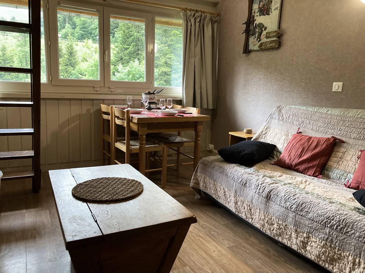 Appartement entier, Residence Bec de l'Aigle N°30 in Le Lioran, Laveissière