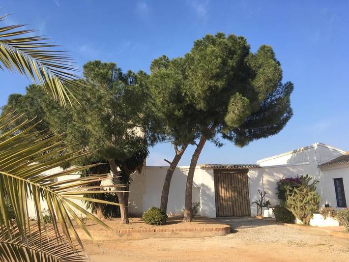 Chambre d’hôte pour 2 personnes, avec Terrasse ainsi que Jardin et Piscine à Alhama de Murcia