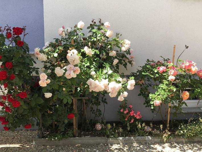 Ferienwohnung für 4 Personen, mit Terrasse, kinderfreundlich im Pitztal - 3