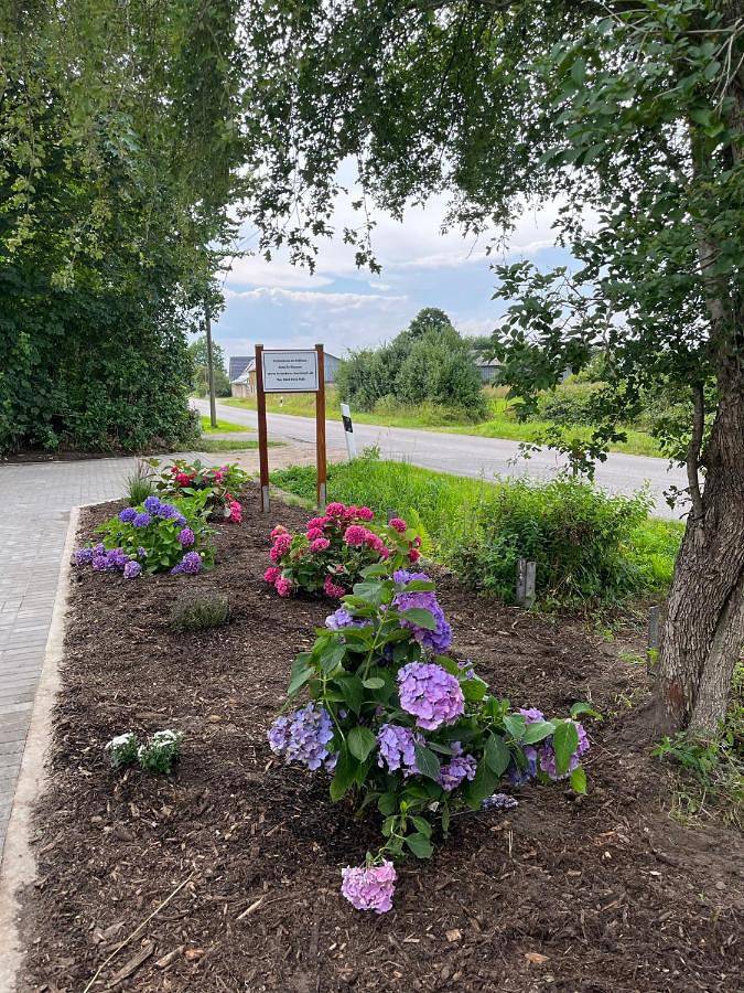 Ferienhaus für 8 Personen, mit Ausblick und Garten, mit Haustier in Haithabu - 2