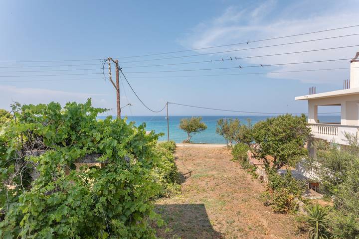 Ferienwohnung für 4 Personen, mit Balkon auf Zakynthos - 4