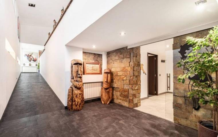 Location de vacances pour 10 personnes, avec piscine ainsi que jacuzzi et jardin à Guadarrama - 4