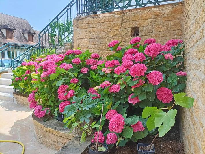 Chambre d’hôte pour 2 personnes, avec jardin à Sarlat-la-Canéda - 3