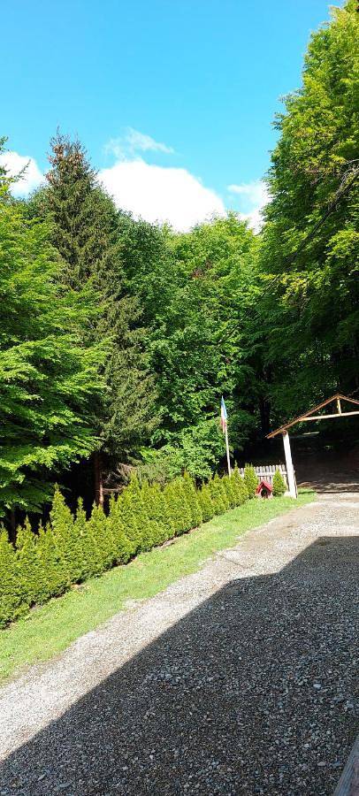 Triple Room with Bathroom in Walachia